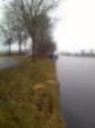 De zwemmer