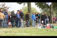 IMG 0411 (Kopie)