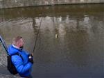 verslag van streetfishing Leeuwarden 2015
